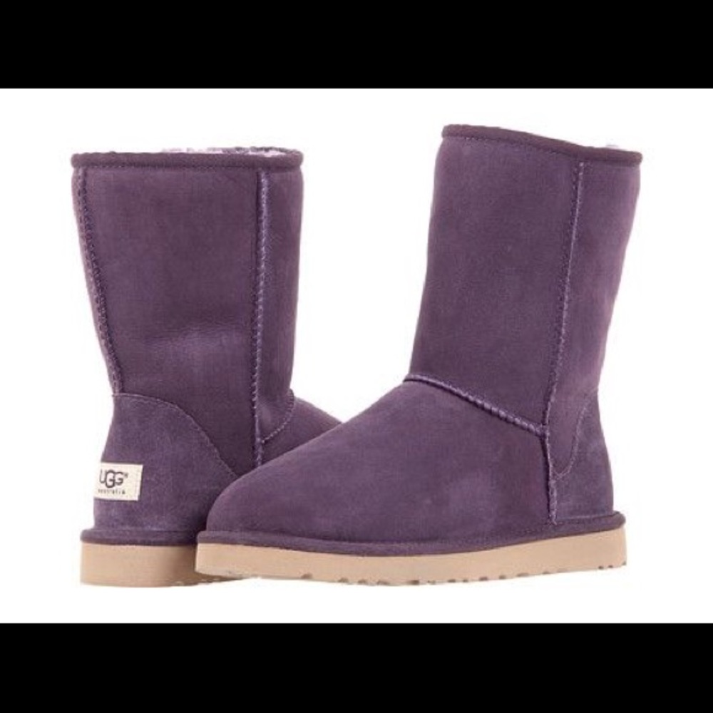 Purple Short Uggs